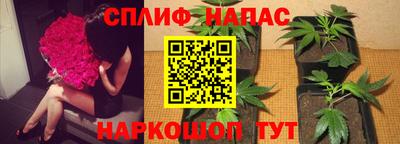 марки nbome Сланцы