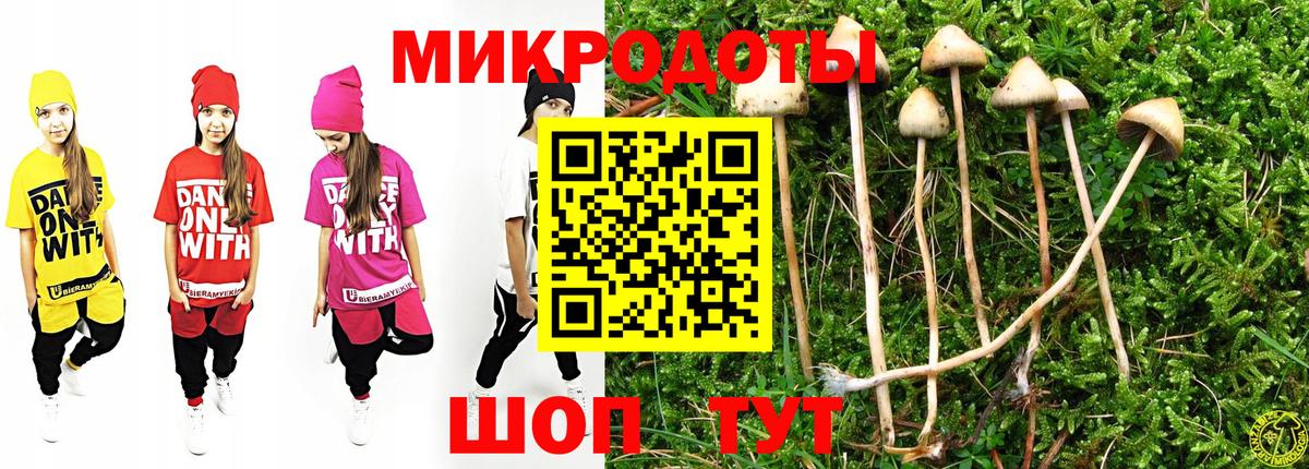 Галлюциногенные грибы мухоморы Псков