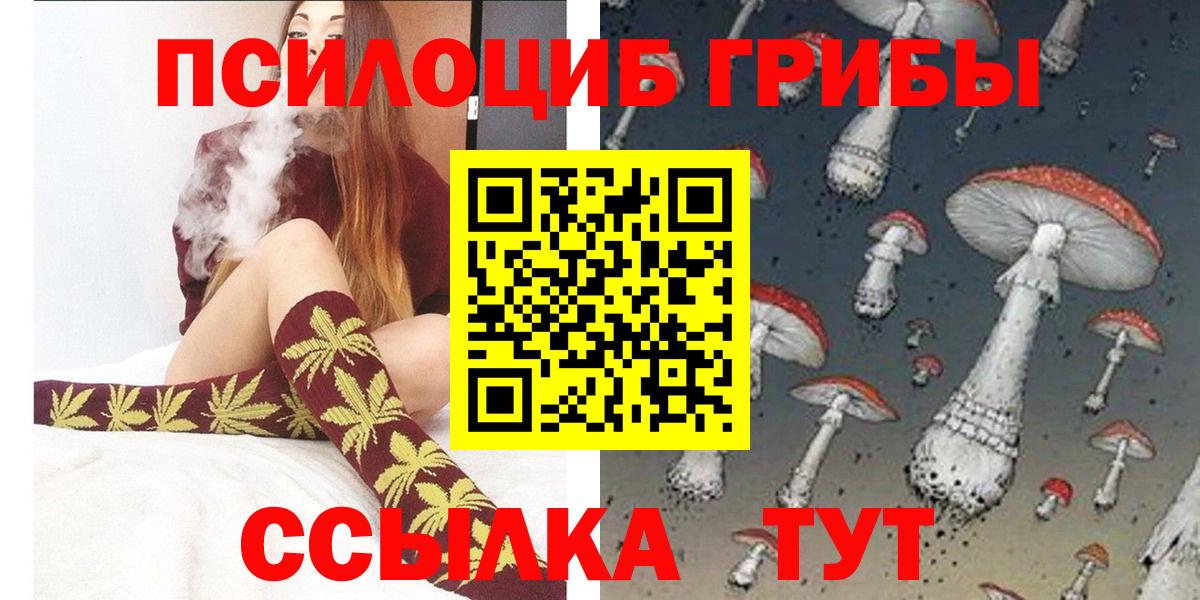 продажа наркотиков  Псилоцибиновые грибы мицелий  Вход с VPN  Псков  Галлюциногенные грибы Psilocybine cubensis 